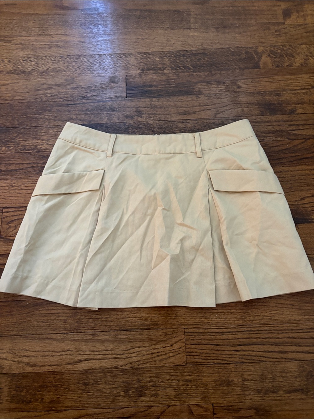 Sovere Pleated Light Yellow Mini Skirt